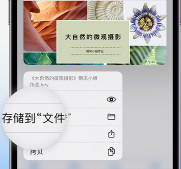 陕西apple维修中心分享iPhone文件应用中存储和找到下载文件