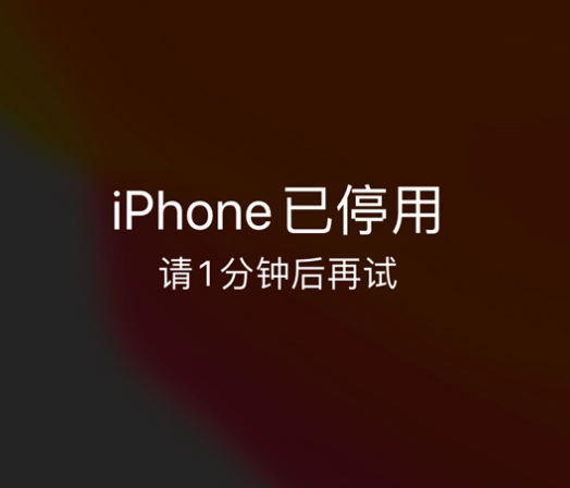 陕西苹果手机维修分享:iPhone 显示“不可用”或“已停用”怎么办？还能保留数据吗？ 