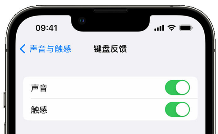 陕西苹果手机维修分享iPhone 14触感键盘使用方法 