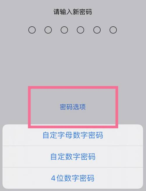 陕西苹果14维修分享iPhone 14plus设置密码的方法 