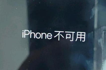 陕西苹果服务网点分享锁屏界面显示“iPhone 不可用”如何解决 