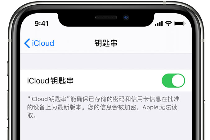 陕西苹果手机维修分享在 iPhone 上开启 iCloud 钥匙串之后会储存哪些信息 