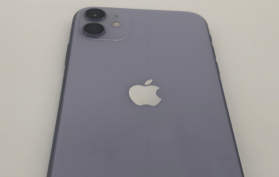 陕西苹果11系统维修分享iPhone11手机系统崩溃无法开机如何解决